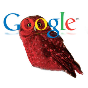 Red hearted owl with Google logo created by Redline Company