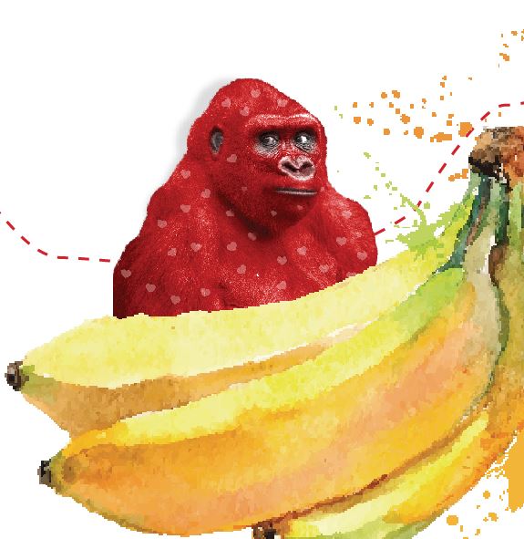 Red heated gorilla with bananas created by Redline Company