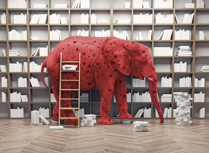 Red hearted elephant in front of a lot of books created by Redline Company