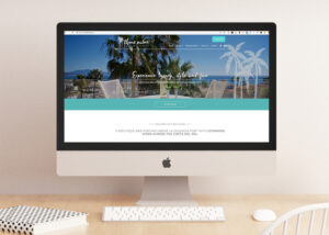 Computer with three palms website created by Redline Company