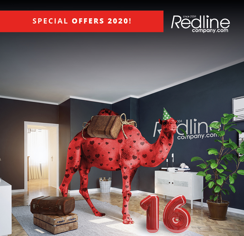 Camel in Redline office for 16th birthday created by Redline Company